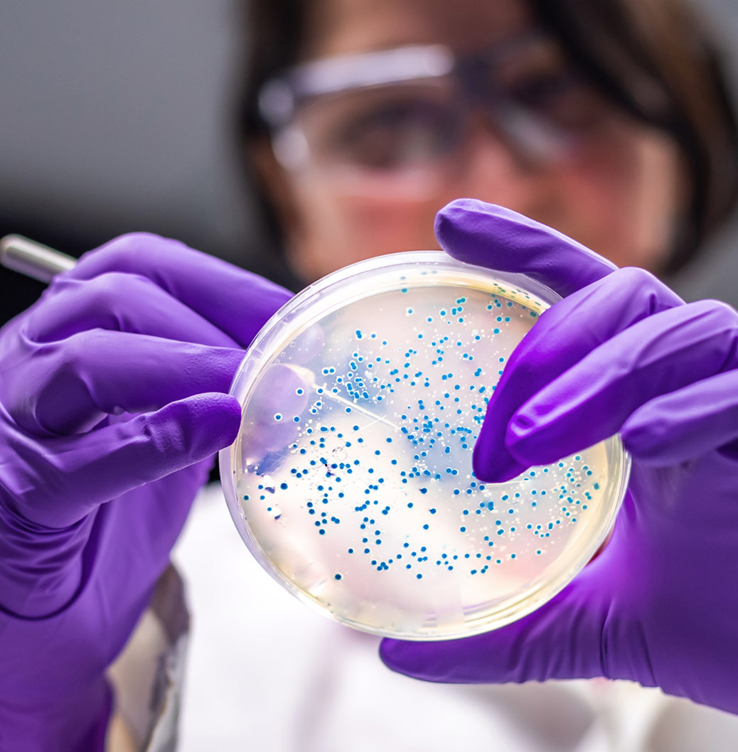 Kvinna vetenskapsman bakterieodling